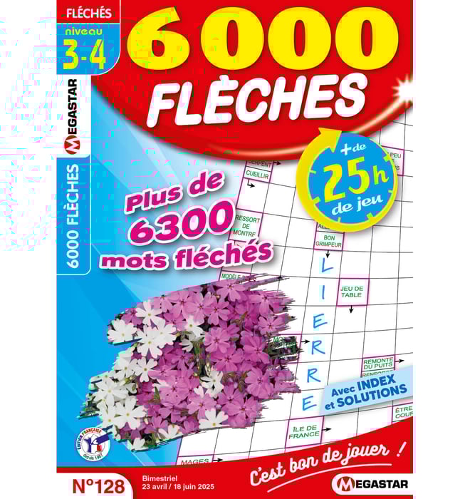6000 Flèches Numéro 128 6000 Flèches Numéro 128