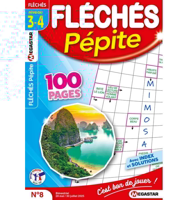 Fléchés Pépite Numéro 8 Fléchés Pépite Numéro 8