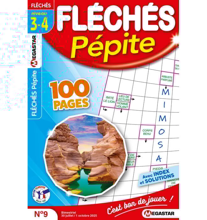 Fléchés Pépite Numéro 9