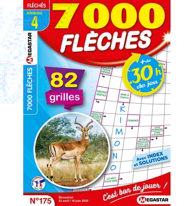 7000 Flèches Numéro 175 7000 Flèches Numéro 175