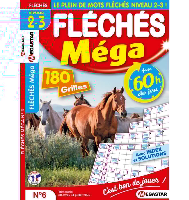 Fléchés Méga Numéro 6 Fléchés Méga Numéro 6