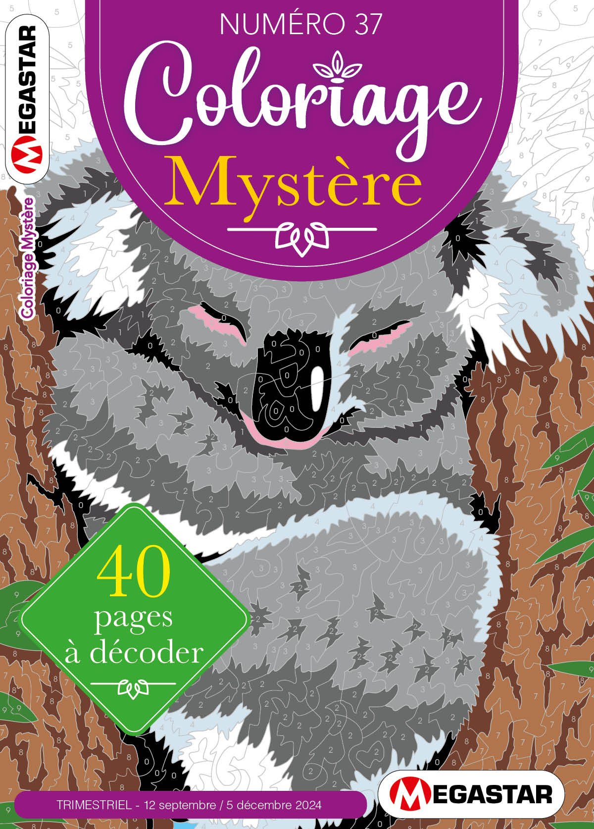Coloriage Mystère Numéro 37